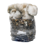 Jack Frost Grow Kit