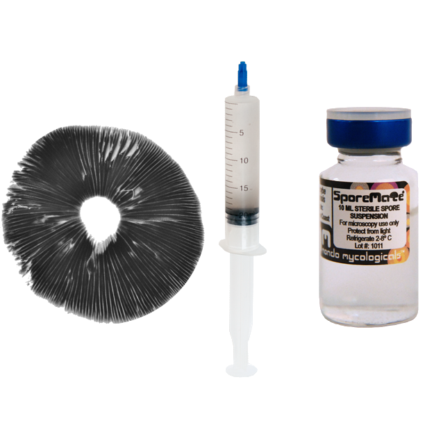 psilocybin mushroom spore syringe