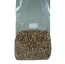 MushBag Rye | Magic Mushroom substrate bag 